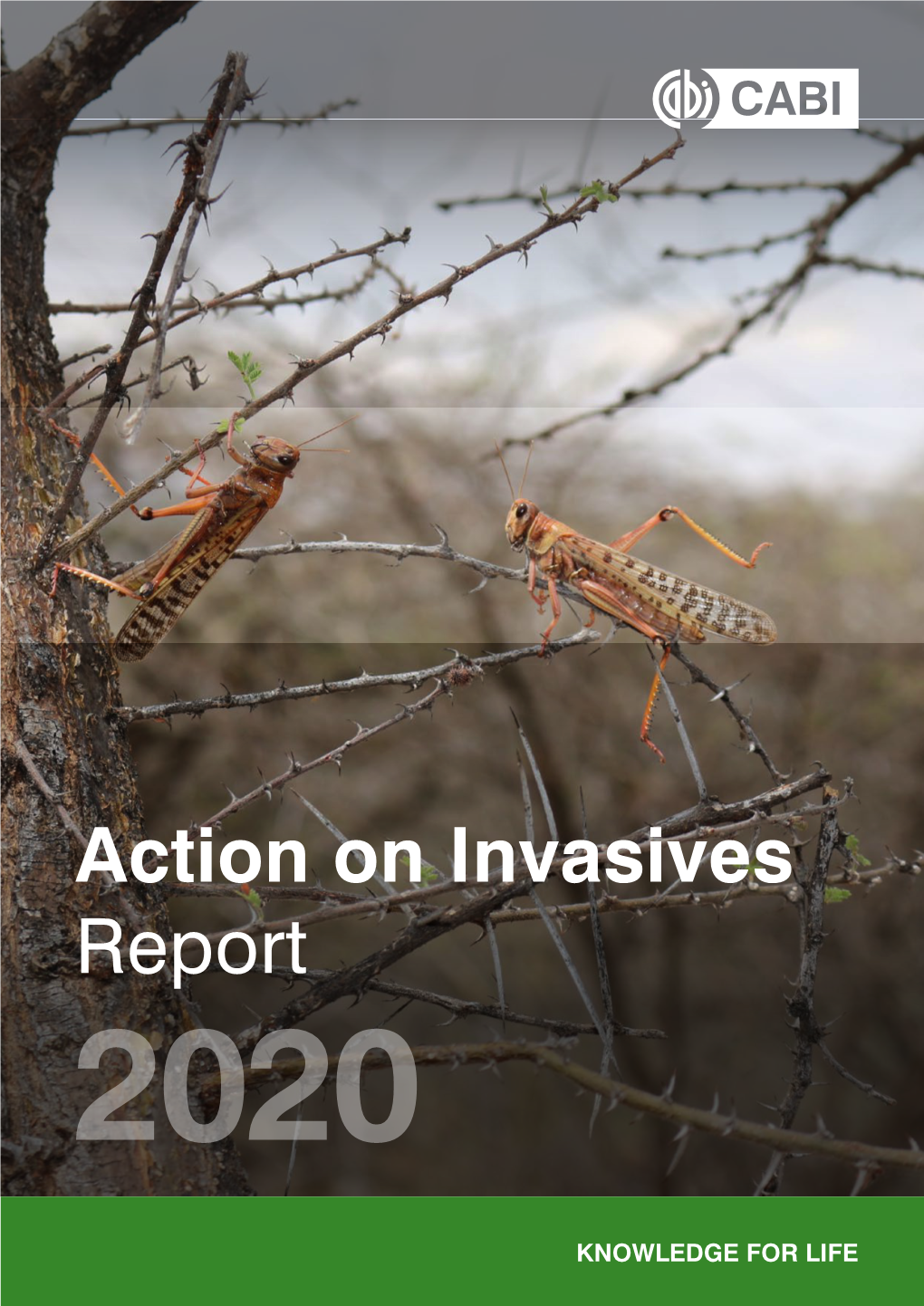 Action on Invasives Report 2020