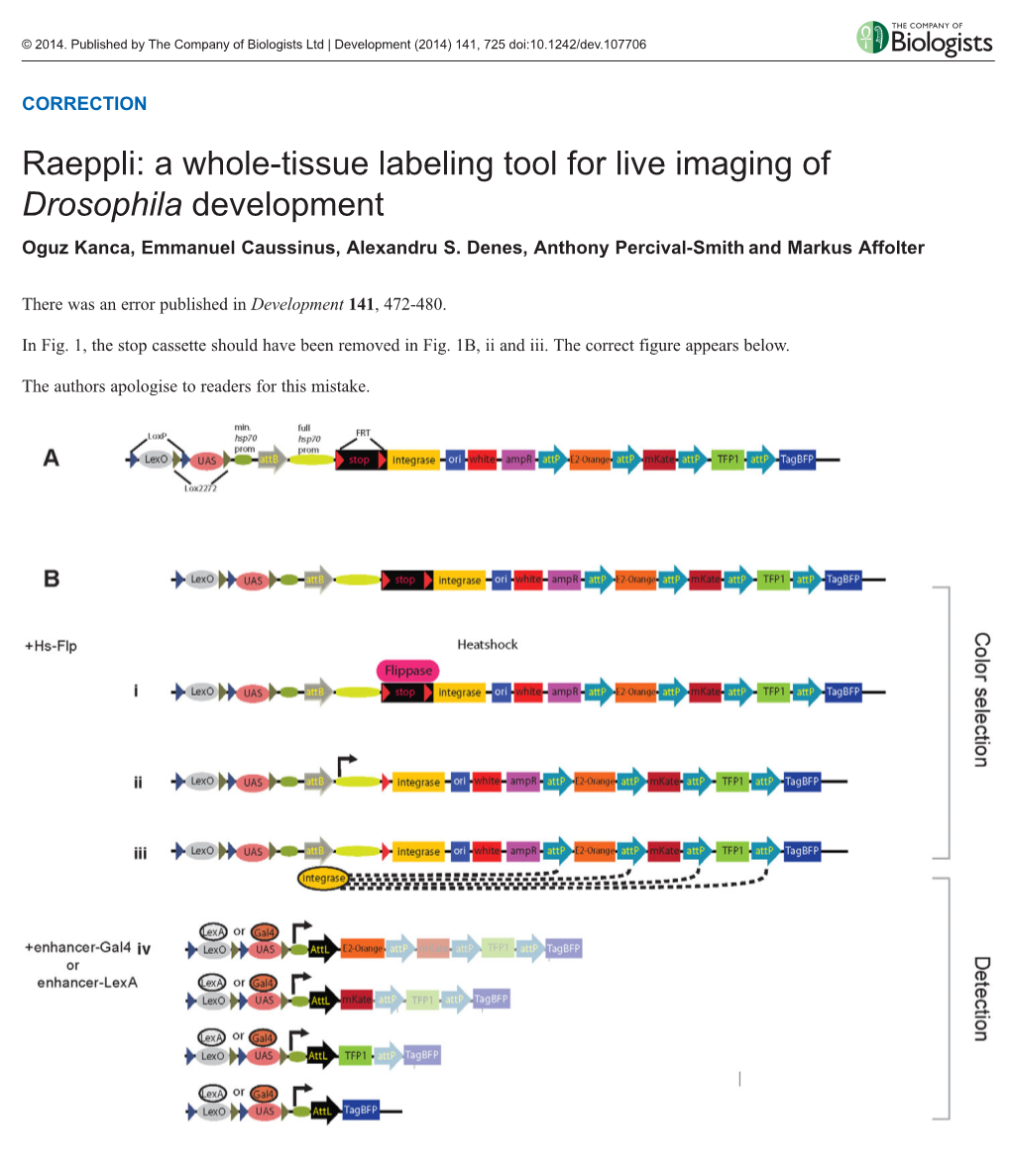 Raeppli: a Whole-Tissue Labeling Tool for Live Imaging of Drosophila Development Oguz Kanca, Emmanuel Caussinus, Alexandru S