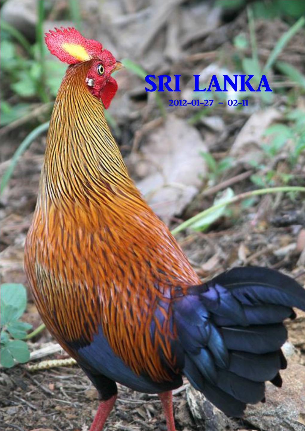 SRI LANKA 2012-01-27 – 02-11 Sri Lanka 2012-01-27 – 02-11 1