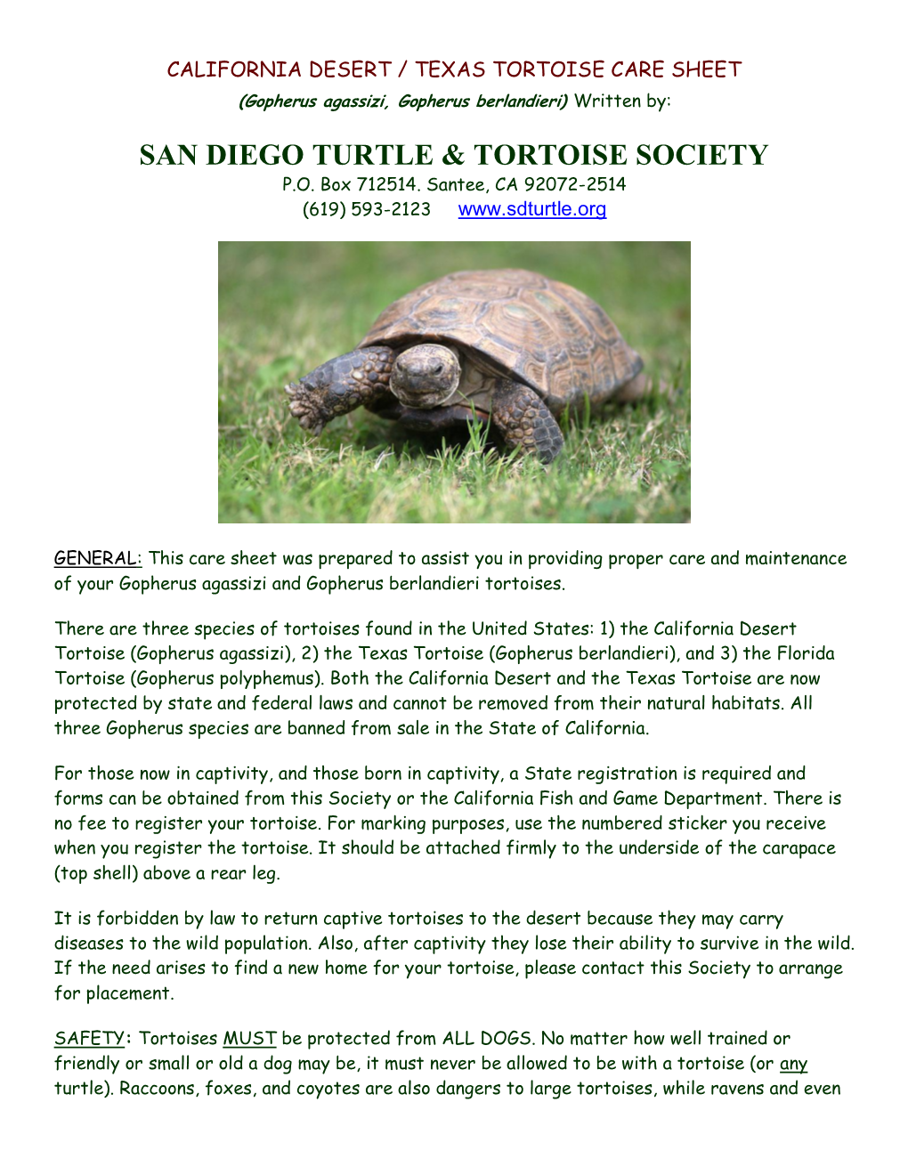 CALIFORNIA DESERT / TEXAS TORTOISE CARE SHEET (Gopherus Agassizi, Gopherus Berlandieri) Written By