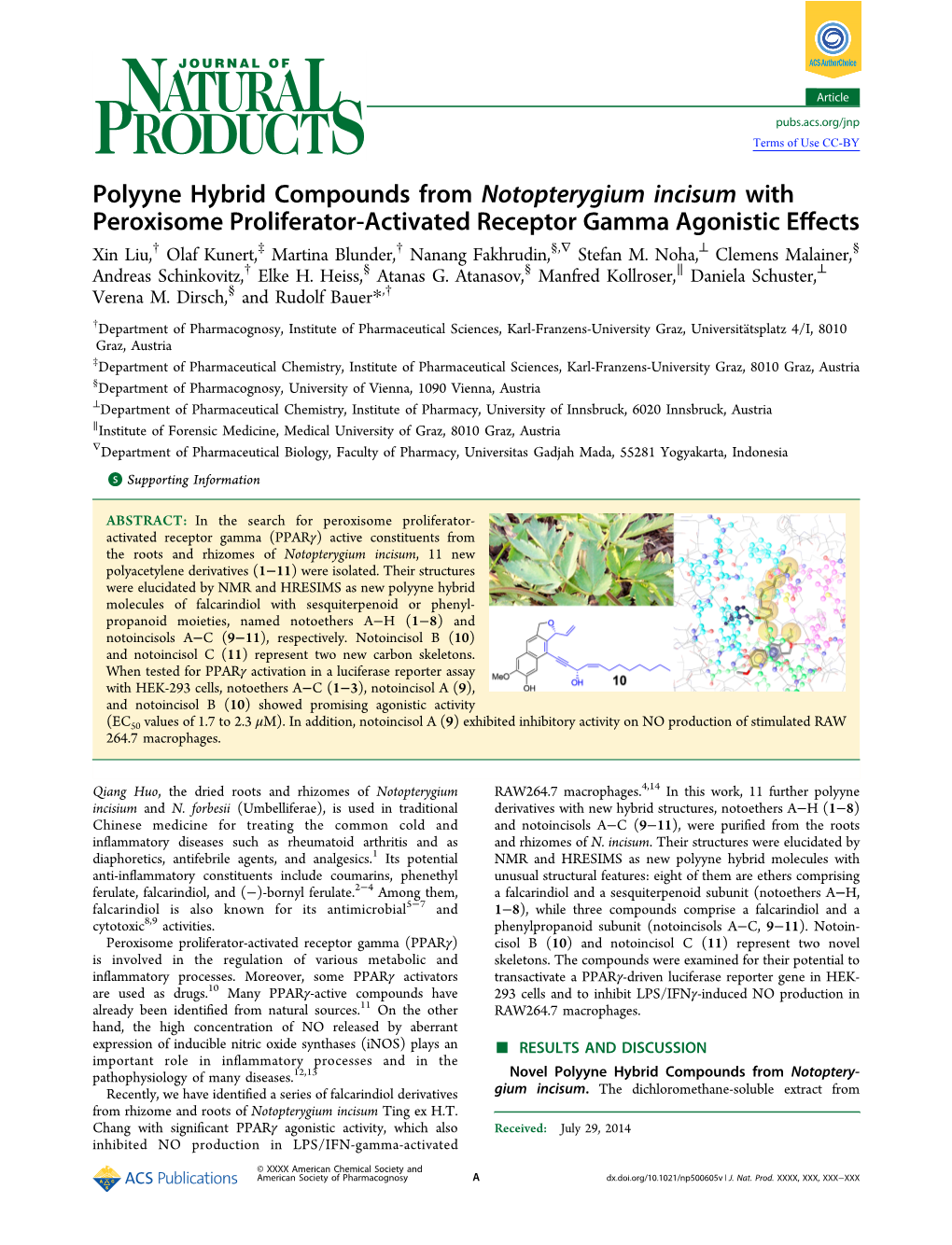 Polyyne Hybrid Compounds from Notopterygium Incisum With