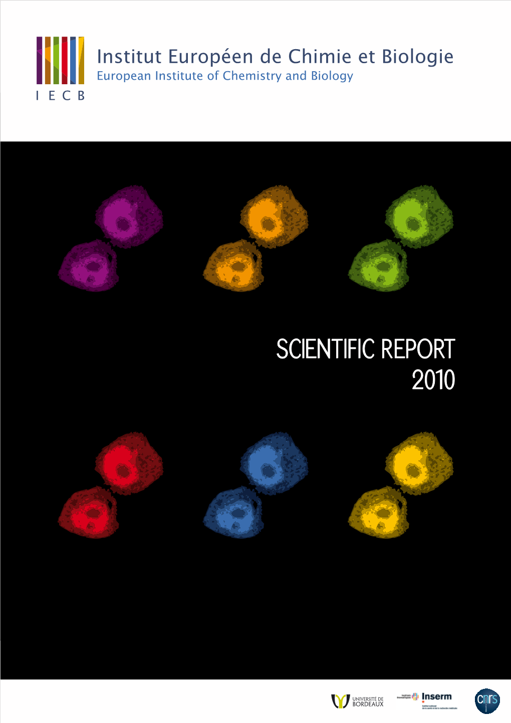 Institut Européen De Chimie Et Biologie Europeaninstitut Institute Européen of Chemistry Deand Biologychimie Et Biologie European Institute of Chemistry and Biology