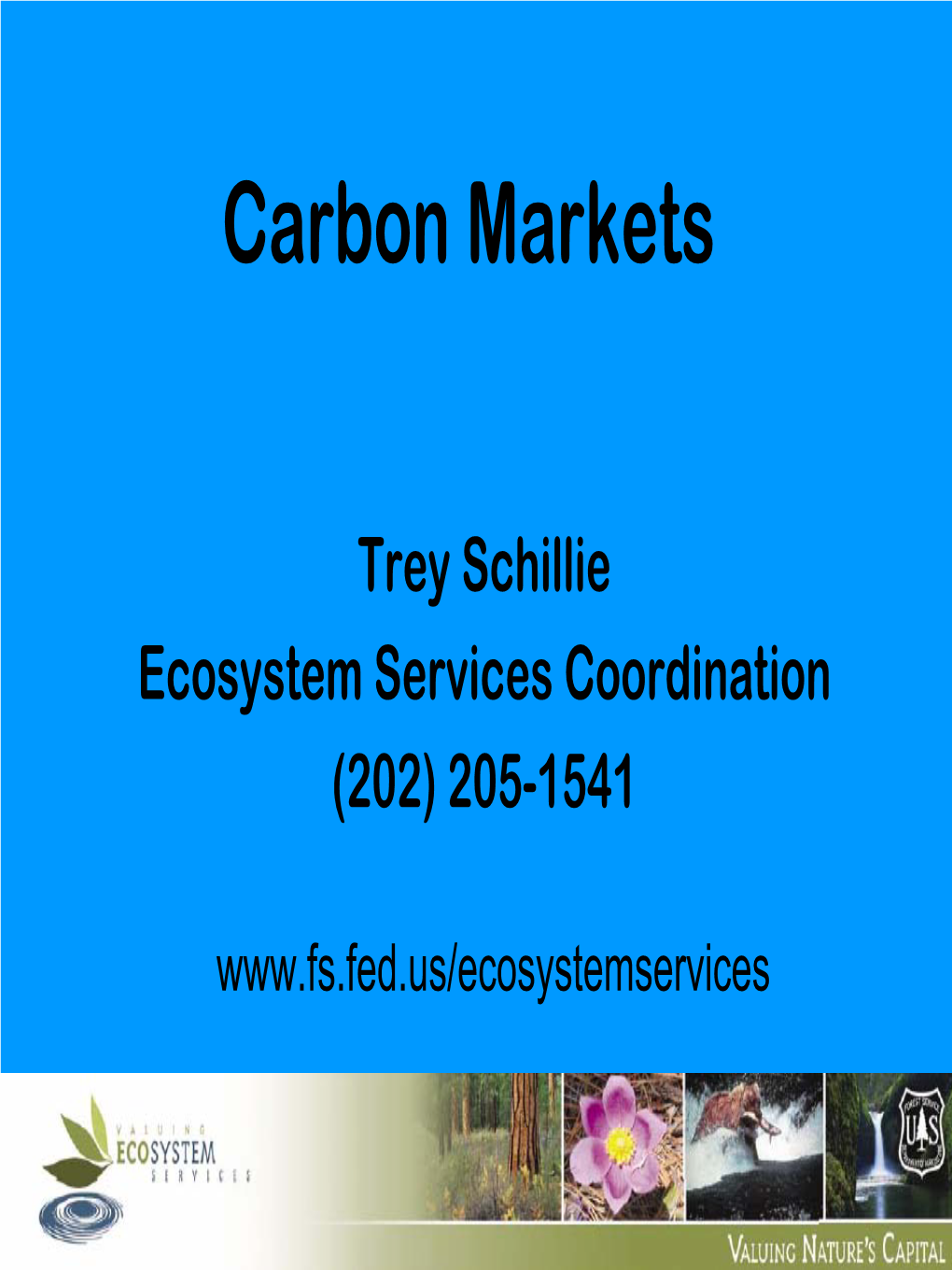 Carbon Markets