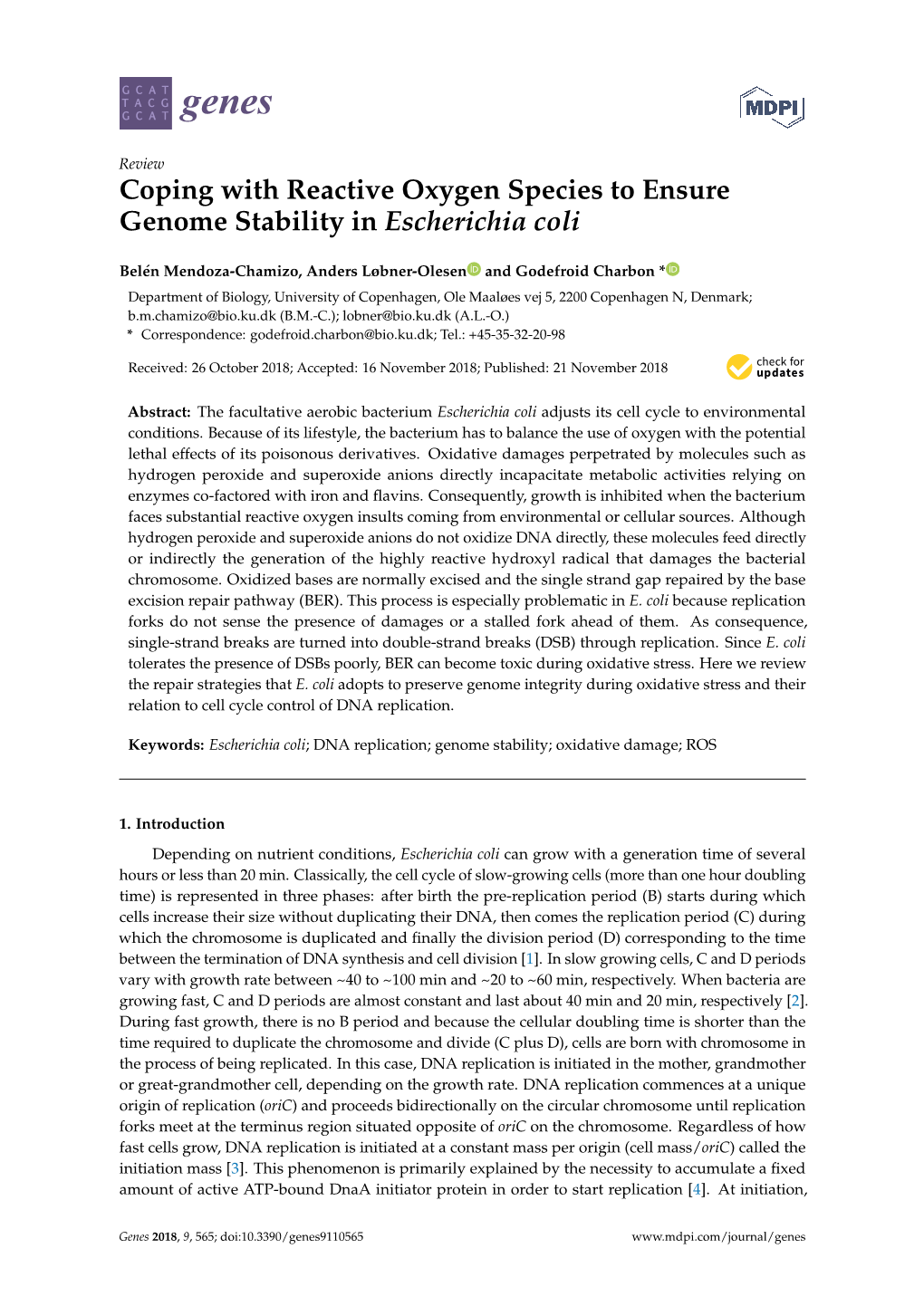 Coping with Reactive Oxygen Species to Ensure Genome Stability in Escherichia Coli