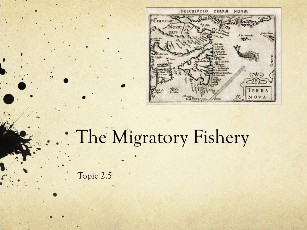 The Migratory Fishery