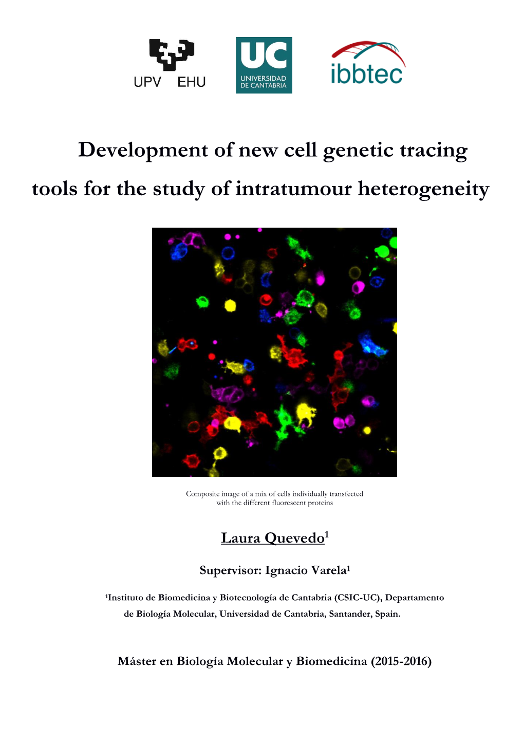 Development of New Cell Genetic Tracing Tools for the Study of Intratumour Heterogeneity