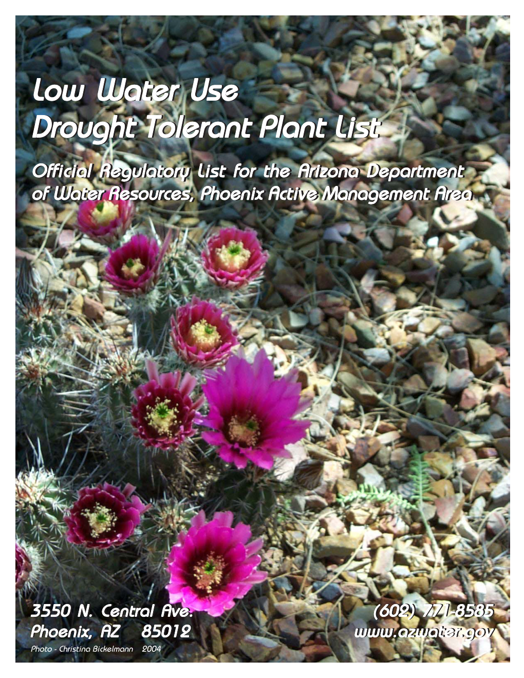 Low Water Use Drought Tolerant Plant List