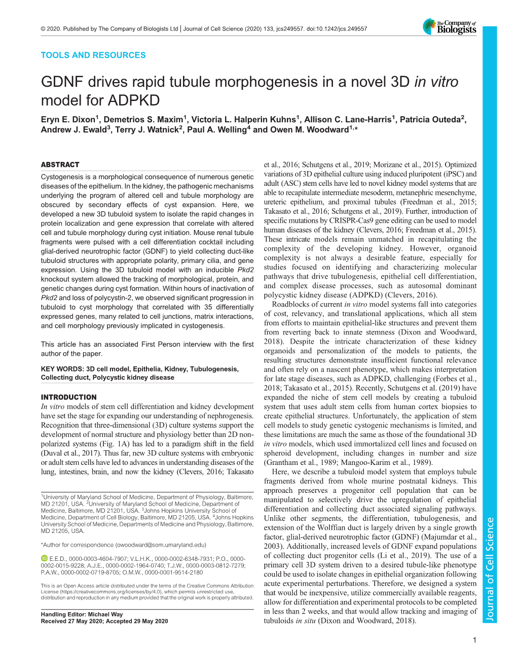 GDNF Drives Rapid Tubule Morphogenesis in a Novel 3D in Vitro Model for ADPKD Eryn E