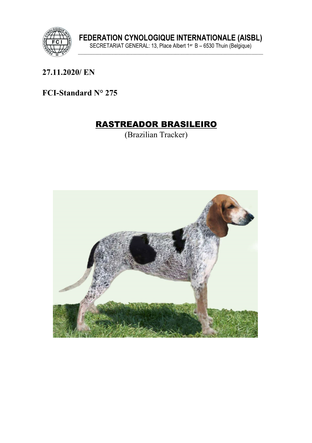 FEDERATION CYNOLOGIQUE INTERNATIONALE (AISBL) 27.11.2020/ EN FCI-Standard N° 275 RASTREADOR BRASILEIRO (Brazilian Tracker)