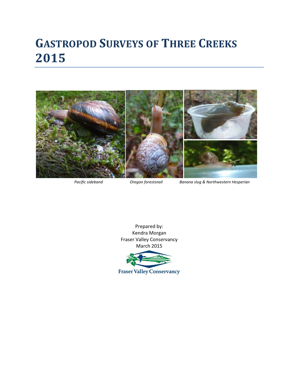 Gastropod Surveys of Three Creeks 2015