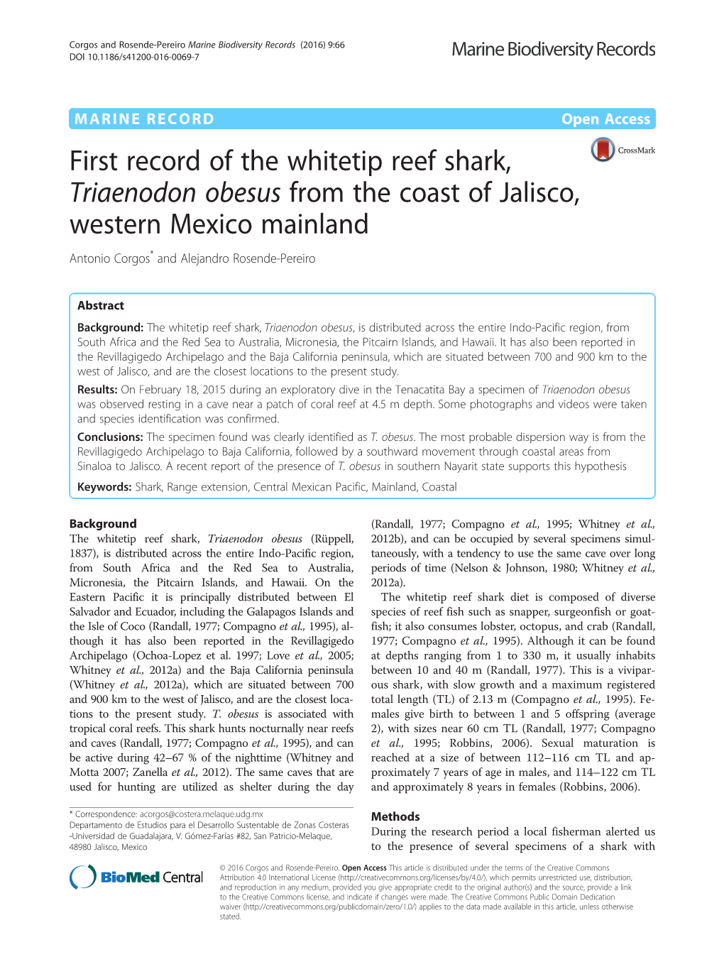 First Record of the Whitetip Reef Shark, Triaenodon Obesus from the Coast of Jalisco, Western Mexico Mainland Antonio Corgos* and Alejandro Rosende-Pereiro