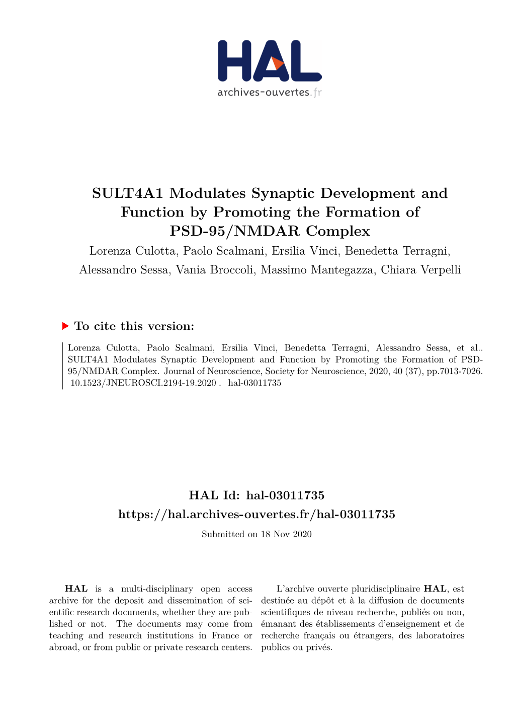 SULT4A1 Modulates Synaptic Development and Function By