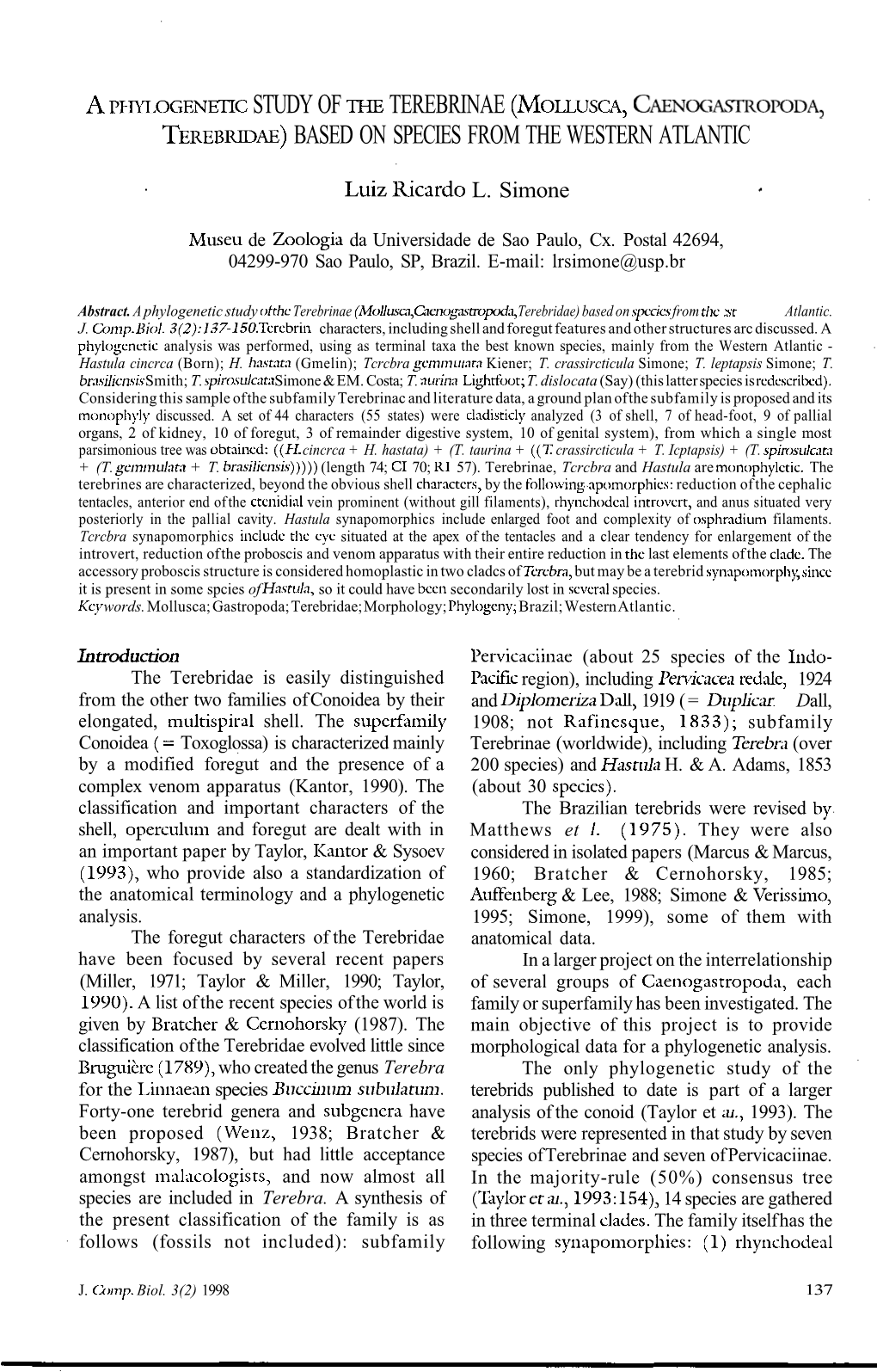 A Phylogenetic Study of the Terebrinae (Mollusca, Caenogastropoda, Terebridae) Based on Species from the Western Atlantic