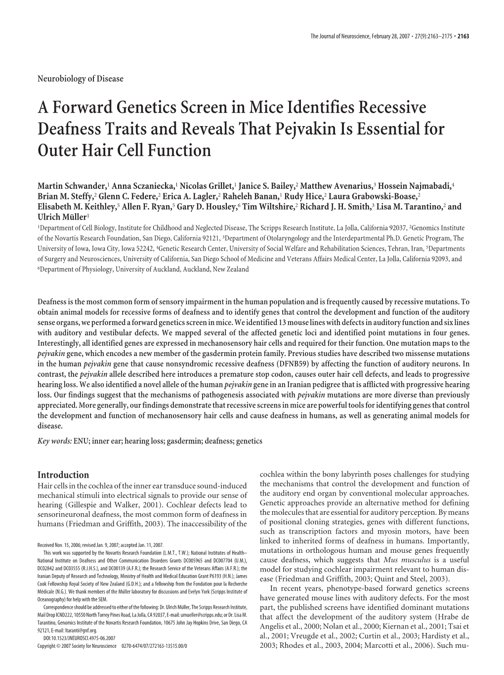 A Forward Genetics Screen in Mice Identifies Recessive Deafness Traits and Reveals That Pejvakin Is Essential for Outer Hair Cell Function