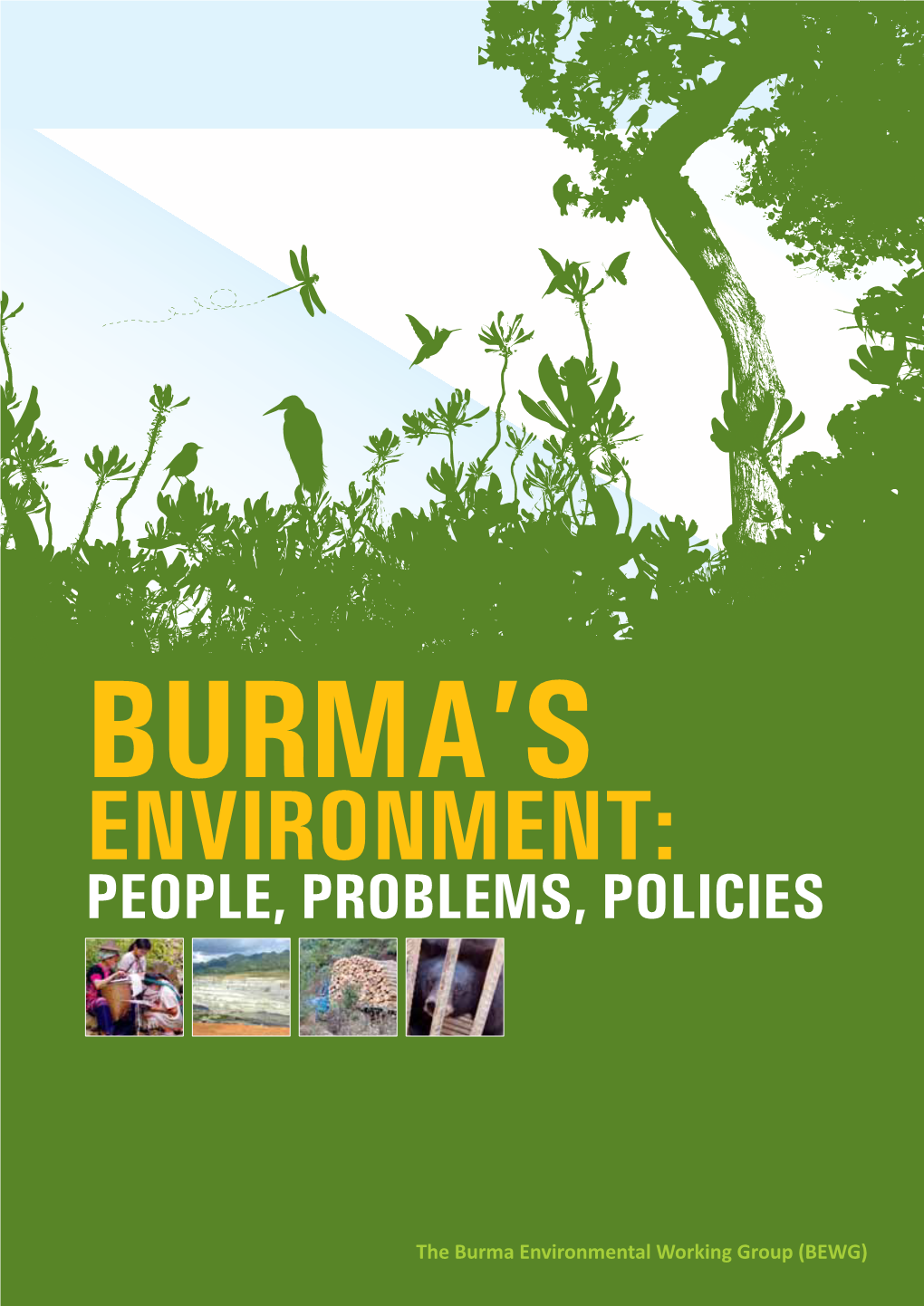 Burma's Environment