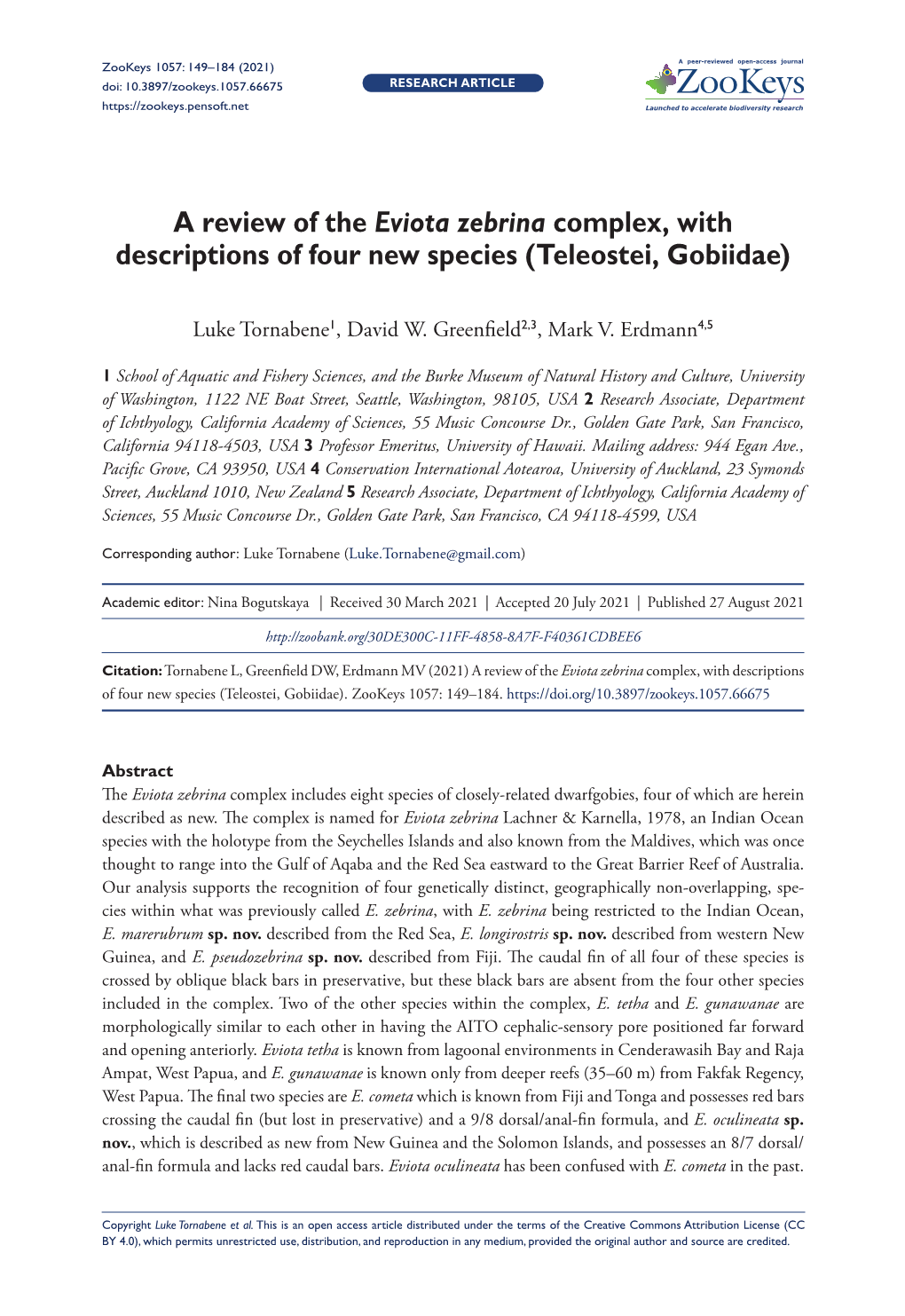 A Review of the Eviota Zebrina Complex, with Descriptions of Four New Species (Teleostei, Gobiidae)