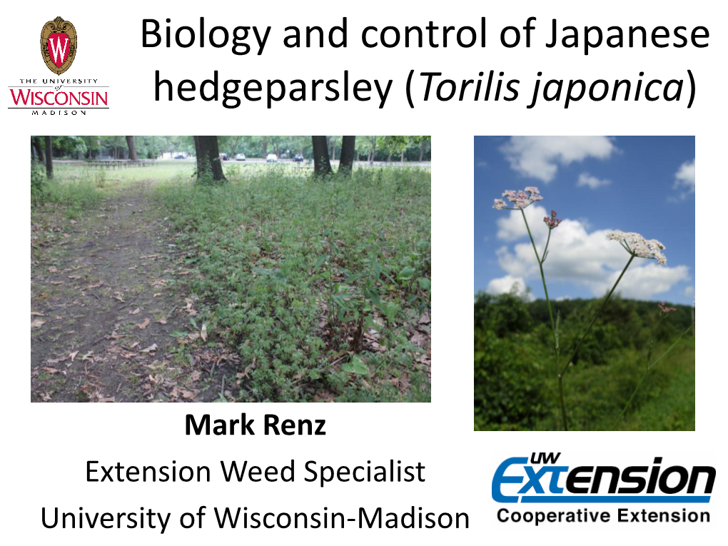 Biology and Control of Japanese Hedgeparsley (Torilis Japonica)