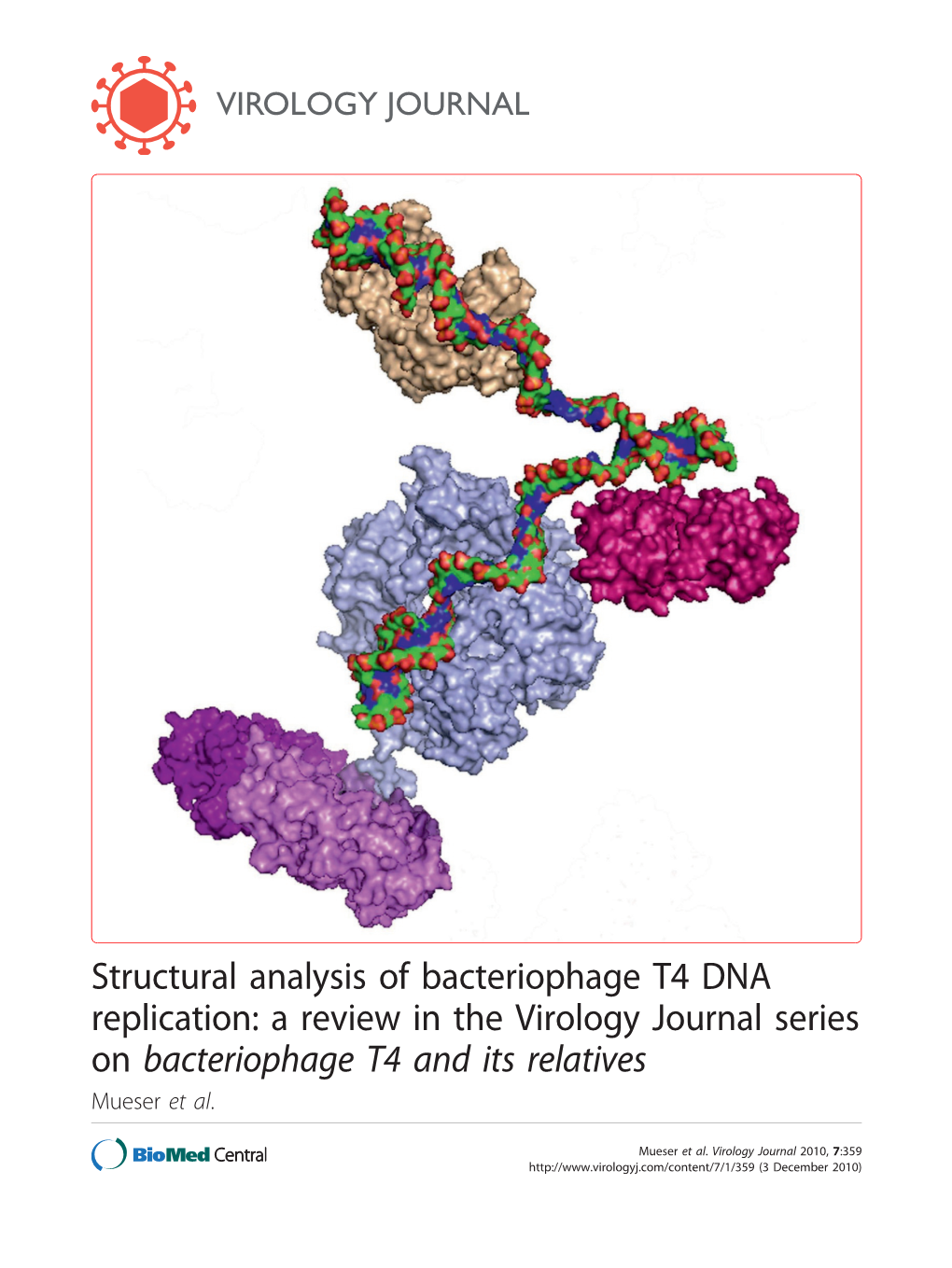 Structural Analysis of Bacteriophage T4 DNA Replication: a Review in the Virology Journal Series on Bacteriophage T4 and Its Relatives Mueser Et Al