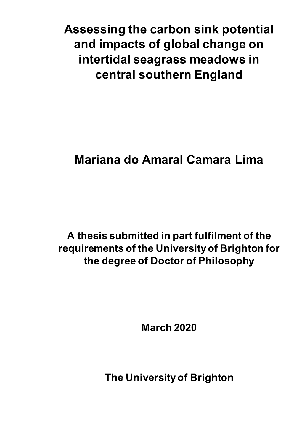 Assessing the Carbon Sink Potential and Impacts of Global Change on Intertidal Seagrass Meadows in Central Southern England Mari