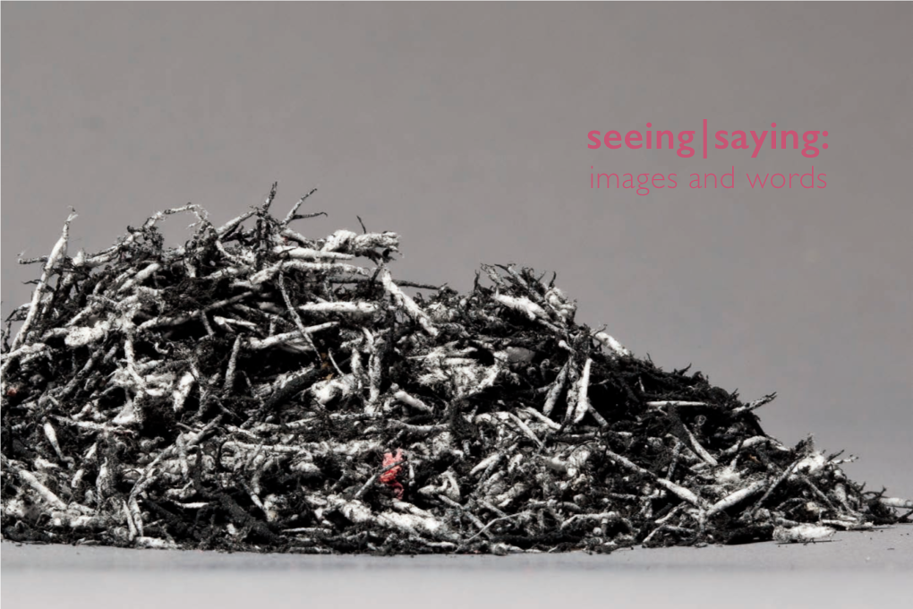 Seeing|Saying: Images and Words Seeing|Saying: Images and Words Publication ©2016 Essay by Van E