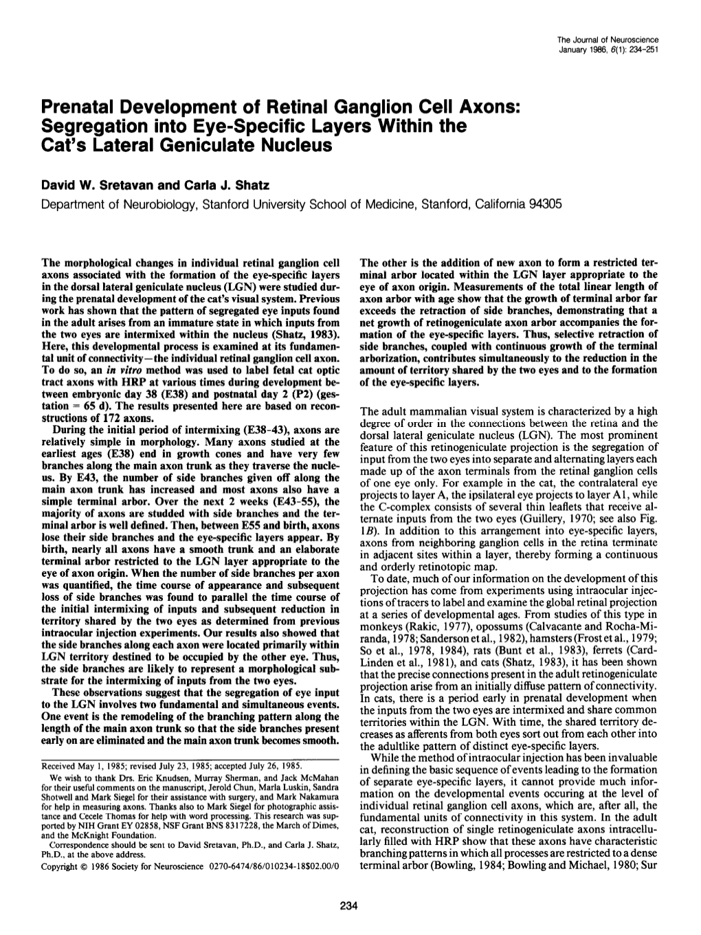 Prenatal Development of Retinal Ganglion Cell Axons: Segregation Into Eye-Specific Layers Within the Cat’S Lateral Geniculate Nucleus