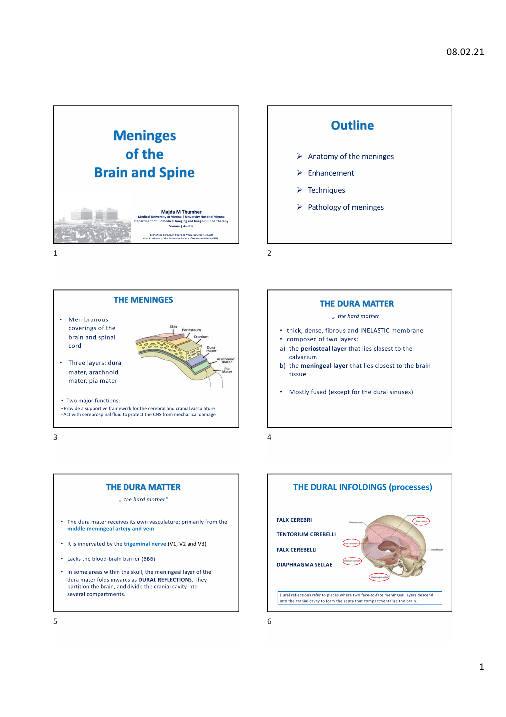 Meninges of the Brain and Spine