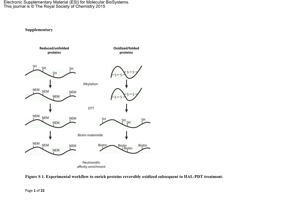 Supplementary Figure S 1. Experimental Workflow to Enrich