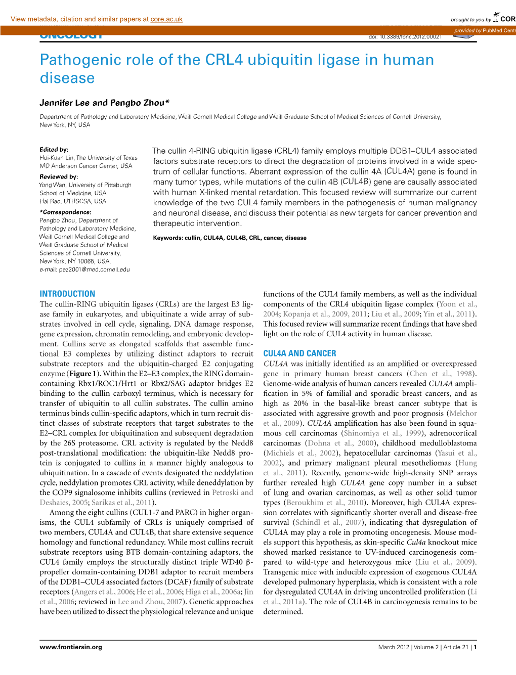 Pathogenic Role of the CRL4 Ubiquitin Ligase in Human Disease