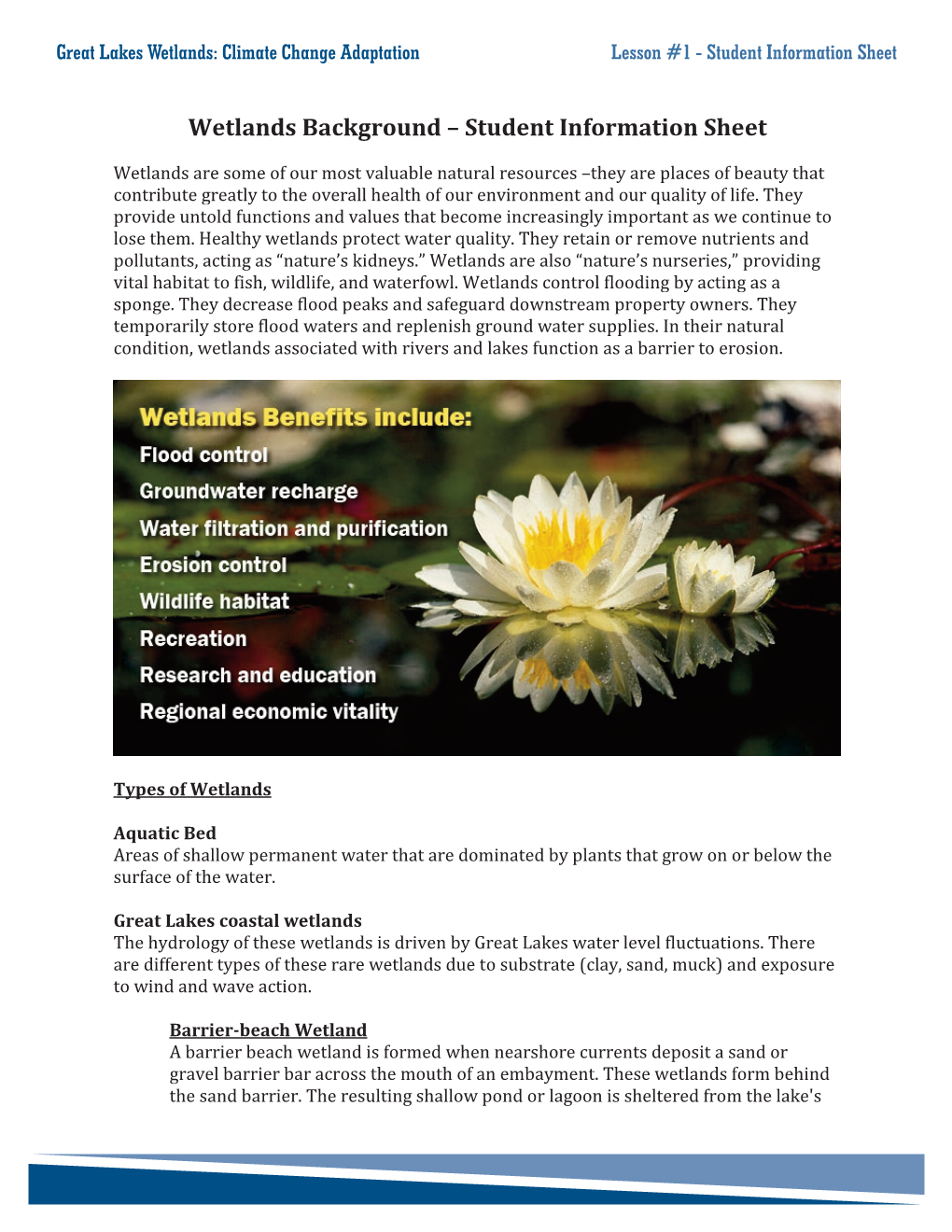 Wetlands Background – Student Information Sheet