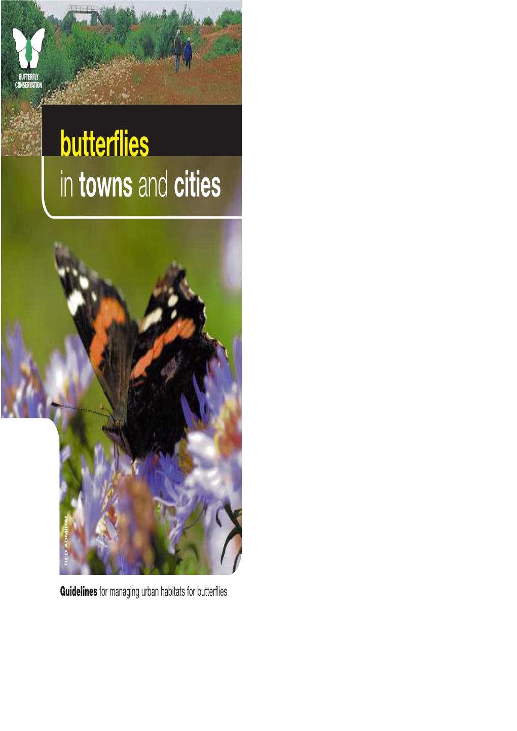 Butterflies in Towns and Cities ADMIRAL RED