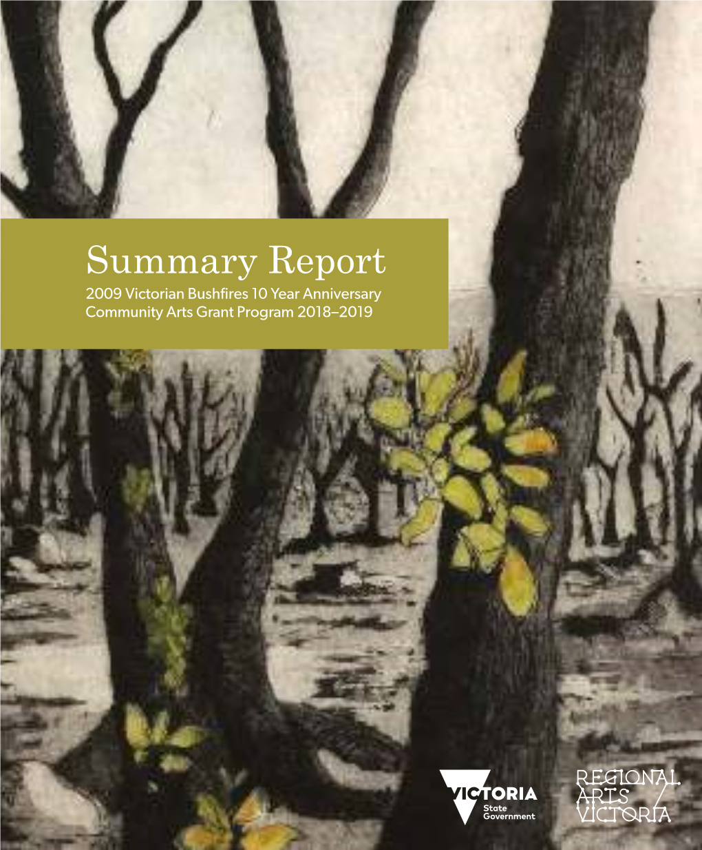 Read Regional Arts Victoria's Summary Report for the State