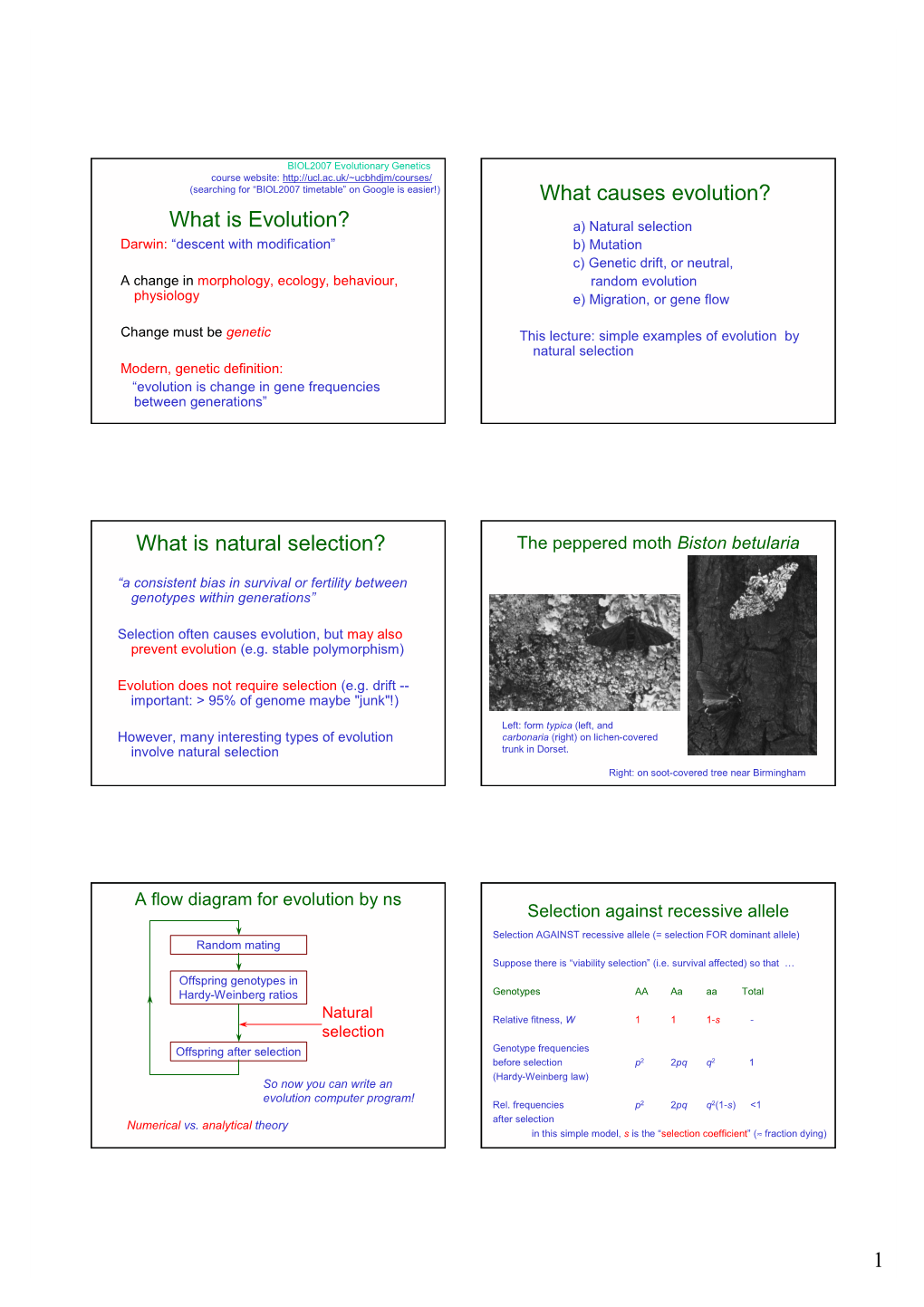 What Causes Evolution? What Is Natural Selection?