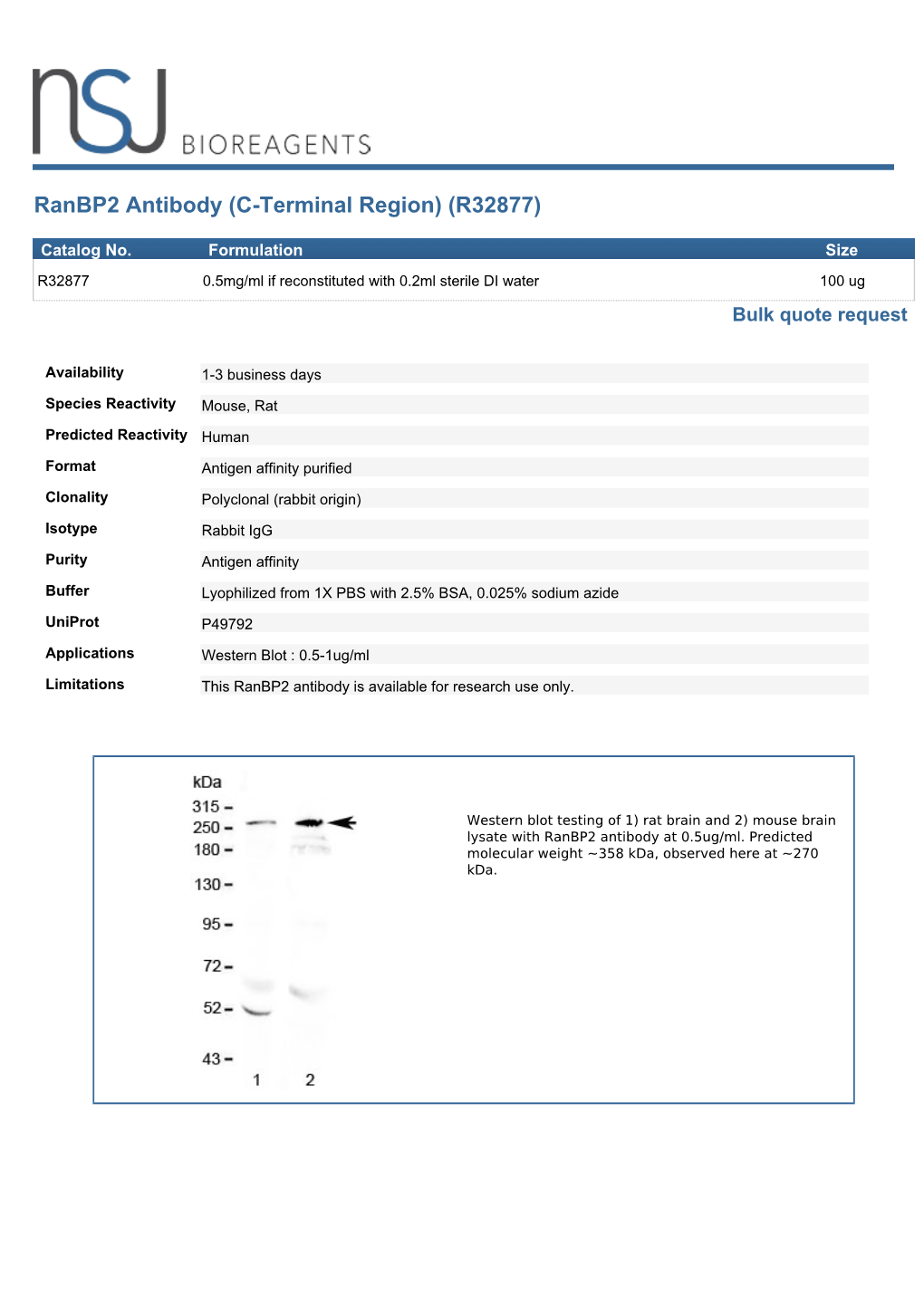 Ranbp2 Antibody (C-Terminal Region) (R32877)