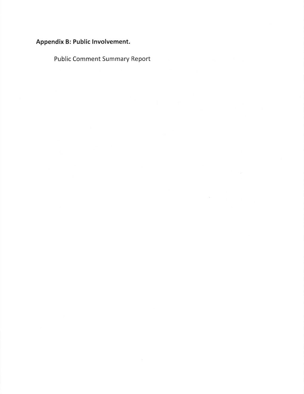 Appendix B: Public Involvement