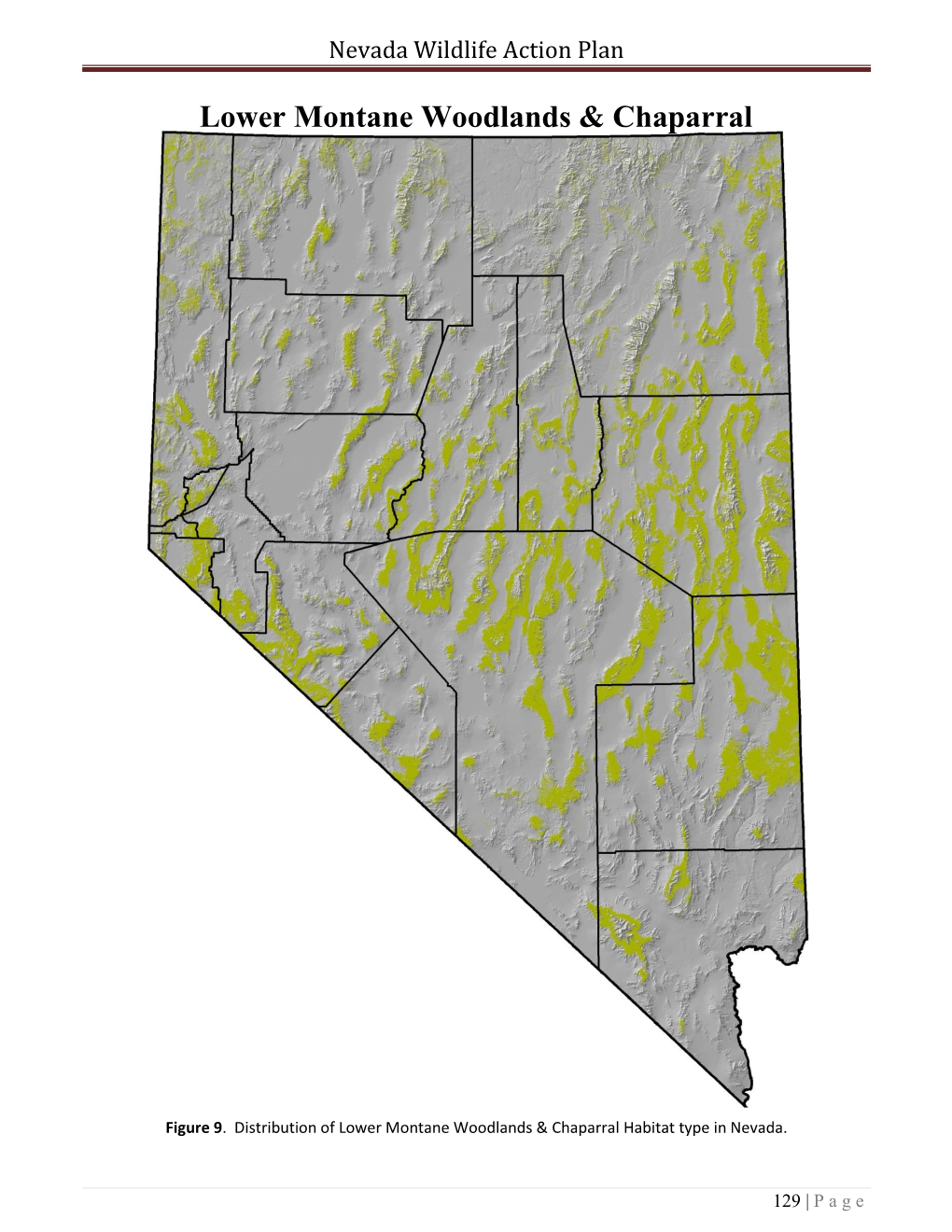 Nevada Wildlife Action Plan
