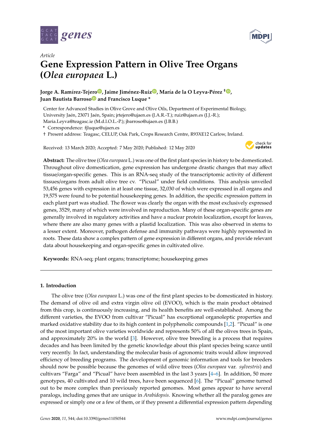 Gene Expression Pattern in Olive Tree Organs (Olea Europaea L.)