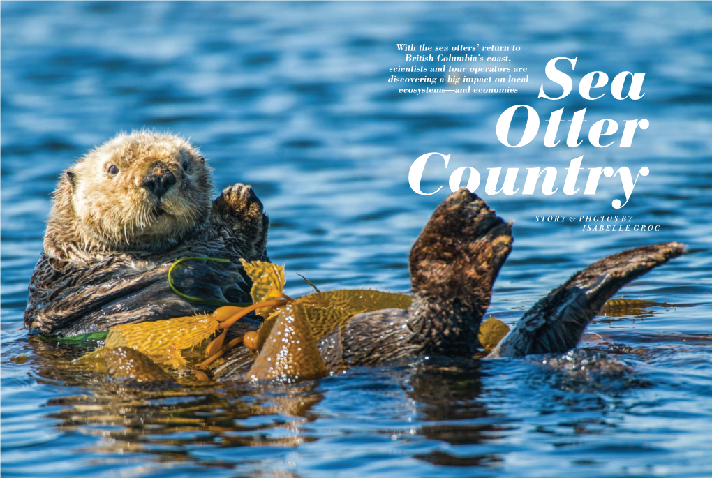 Sea Otter Country STORY & PHOTOS by ISABELLE GROC