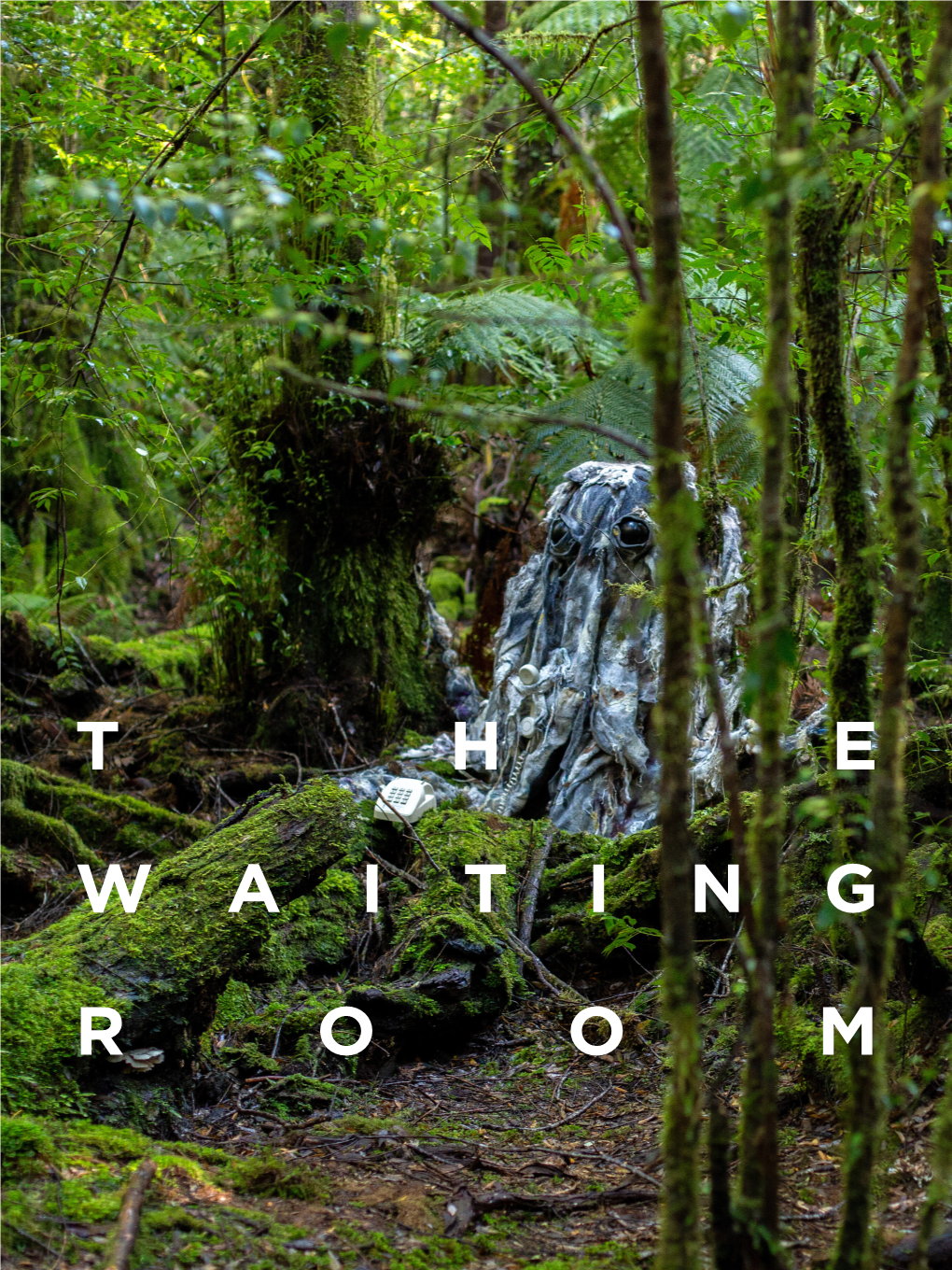 Molly Reynolds & Rolf De Heer: the Waiting Room
