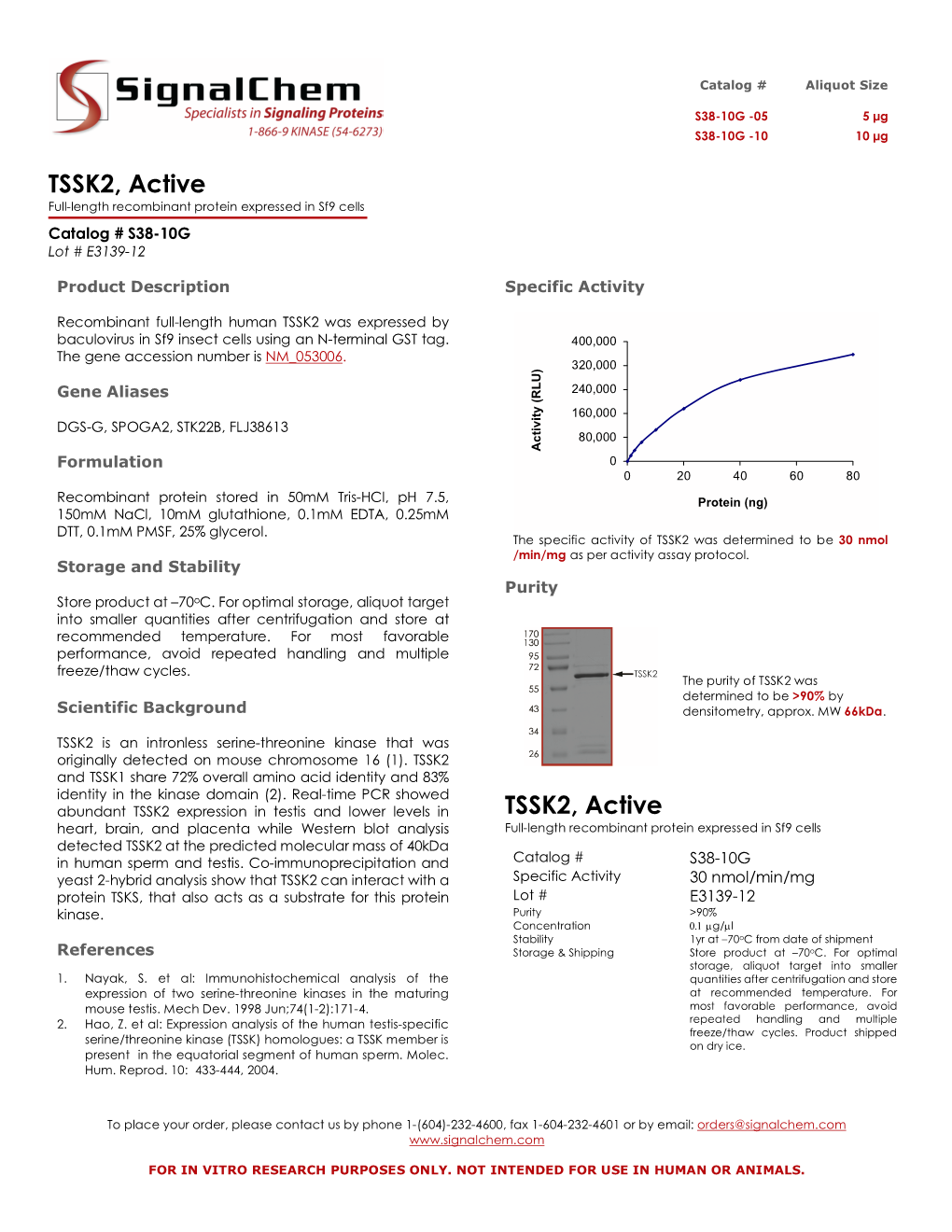 TSSK2, Active Full-Length Recombinant Protein Expressed in Sf9 Cells