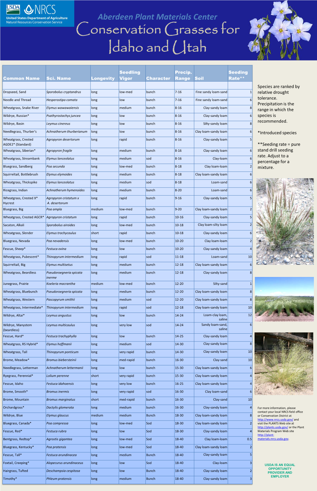 Conservation Grasses for Idaho and Utah