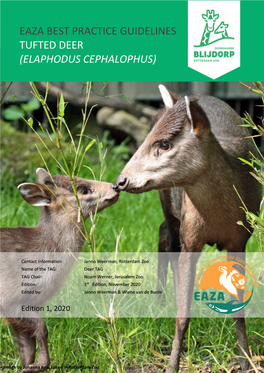 Eaza Best Practice Guidelines Tufted Deer (Elaphodus Cephalophus)