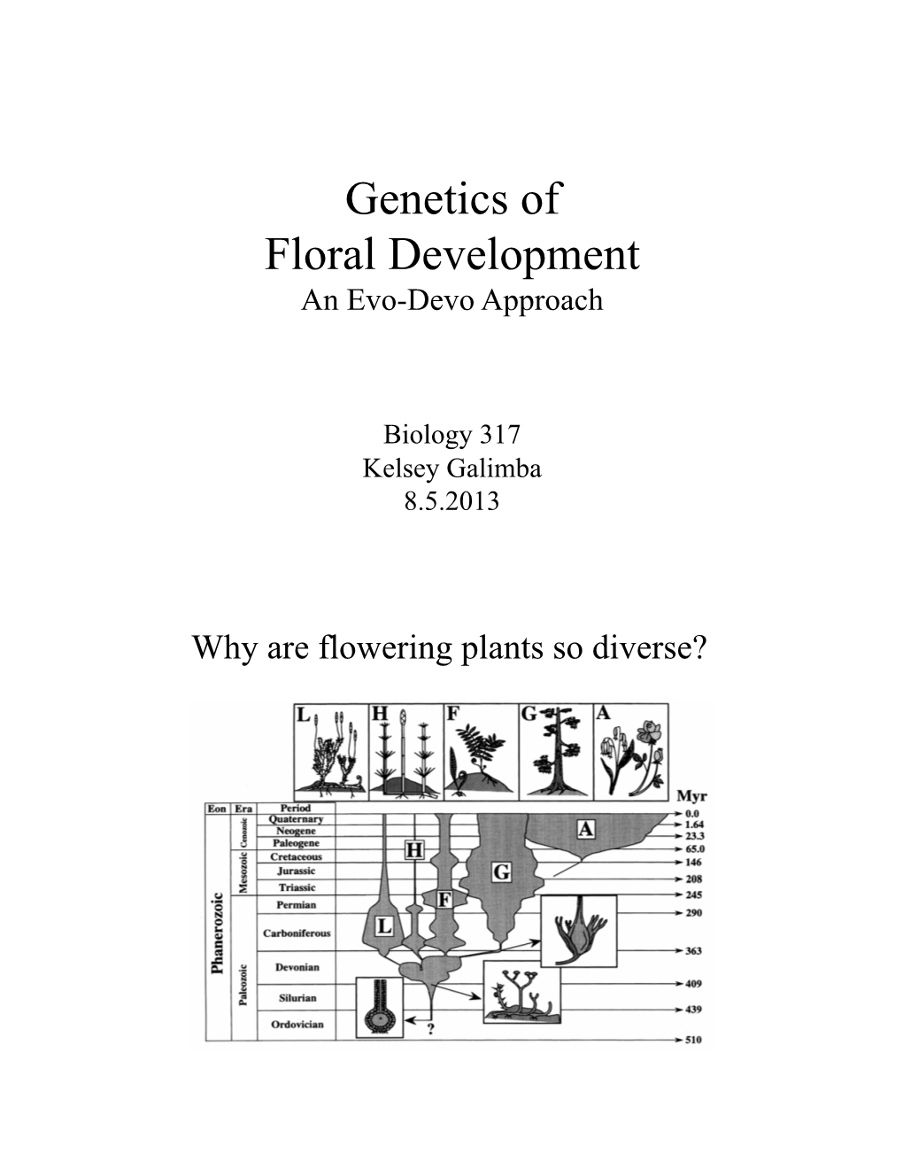 Galimba Guest Biol