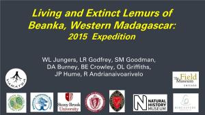 Living and Extinct Lemurs of Beanka, Western Madagascar: 2015 Expedition