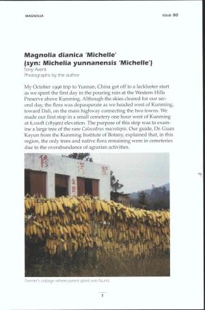 Michelle' Tsyn: Michelia Yunnanensis 'Michelle'j Tony Avent Photographs by the Author