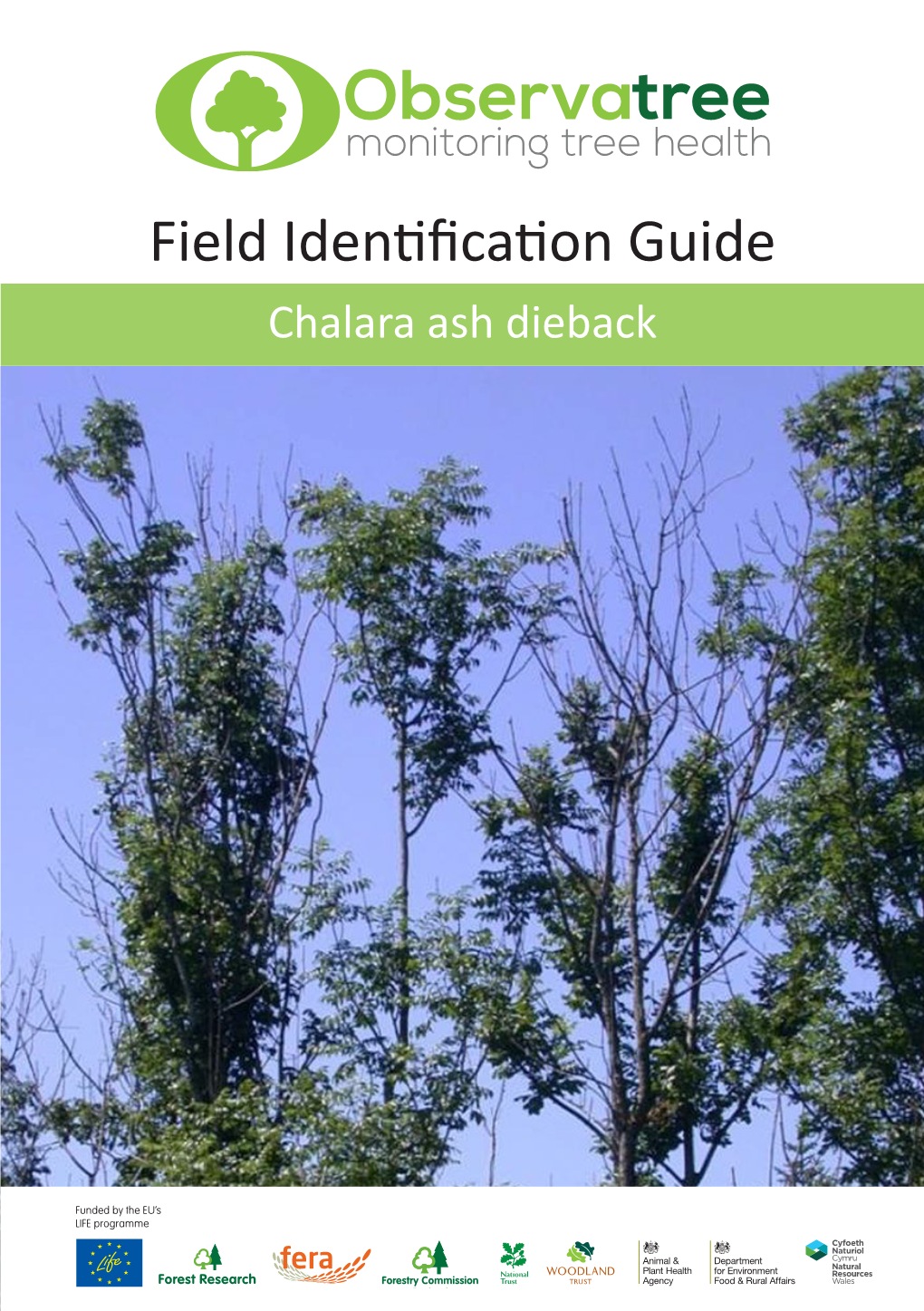 Field Identification Guide – Chalara Ash Dieback