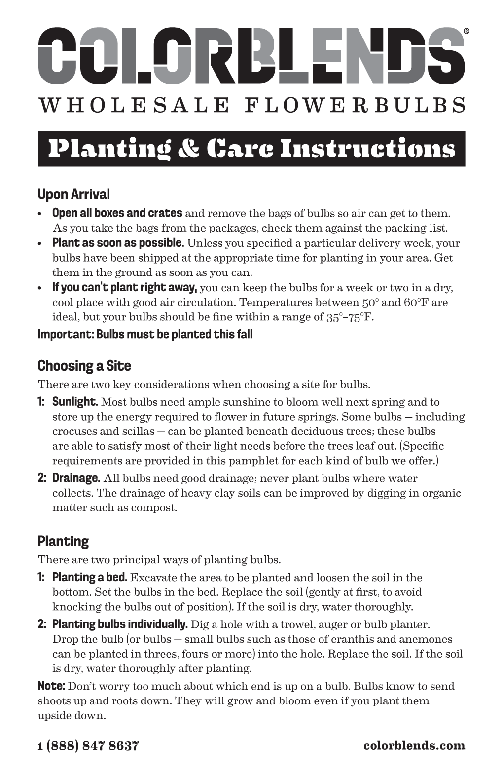 Planting & Care Instructions