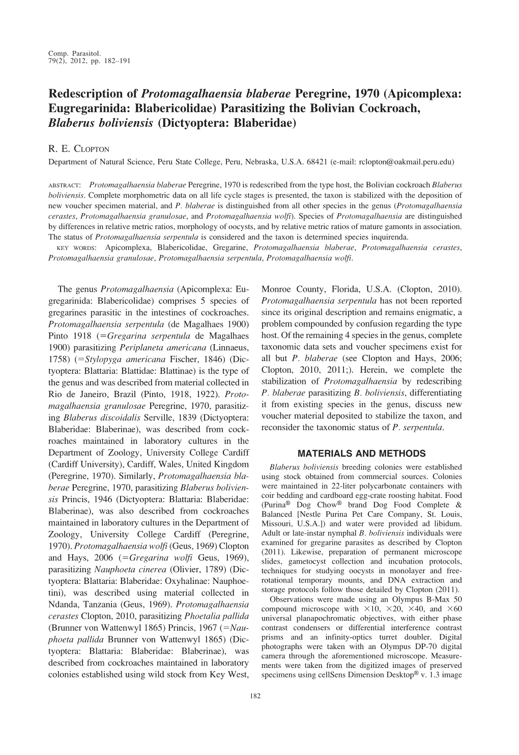 Redescription of Protomagalhaensia Blaberae Peregrine, 1970