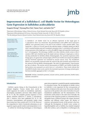 Improvement of a Sulfolobus-E. Coli Shuttle Vector for Heterologous