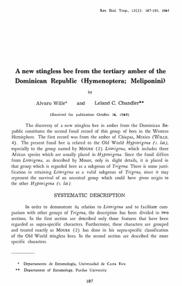 A New Stingless Bee from the Tertiary Amber of the Dominican Repuhl'ic (Hymenoptera; Meliponini)