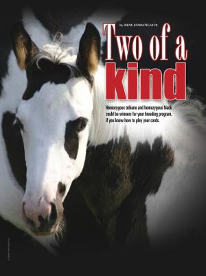 Homozygous Tobiano and Homozygous Black Could Be Winners for Your Breeding Program, If You Know How to Play Your Cards
